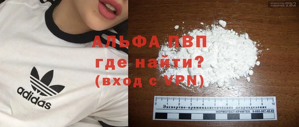 эйфоретик Карпинск