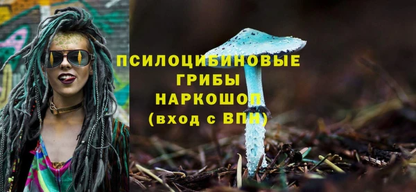 эйфоретик Карпинск