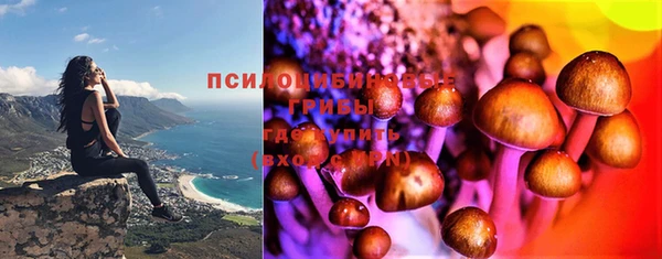 эйфоретик Карпинск