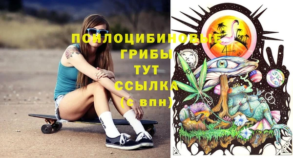 эйфоретик Карпинск