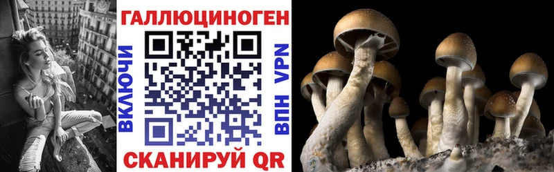 Купить закладки  Володарск  Галлюциногенные грибы мицелий 
